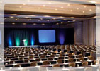 Incentive & Meetings